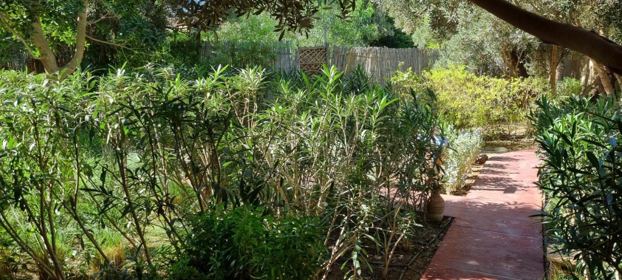 Bed and Breakfast Les Trois Paons Taroudant Exterior foto