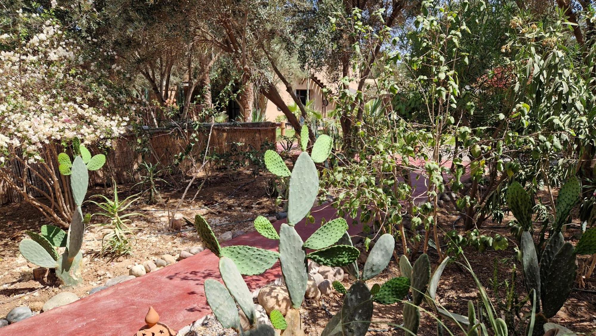 Bed and Breakfast Les Trois Paons Taroudant Exterior foto