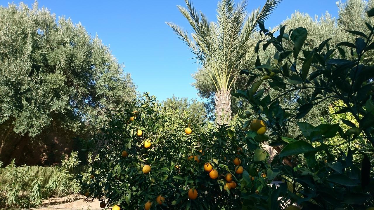 Bed and Breakfast Les Trois Paons Taroudant Exterior foto